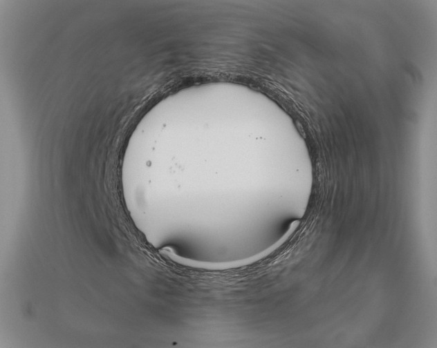 X0000112021057200908311150