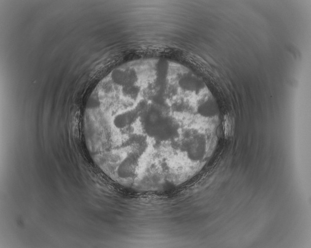 X0000112021059200908311150