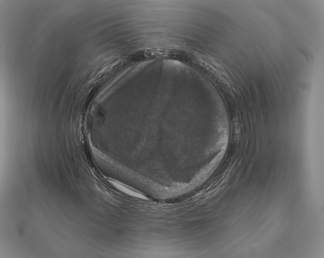 X0000112021060200908311150