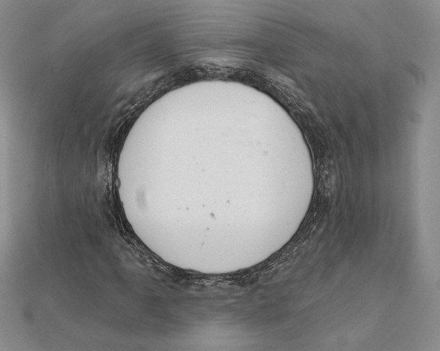 X0000112021061200908311150