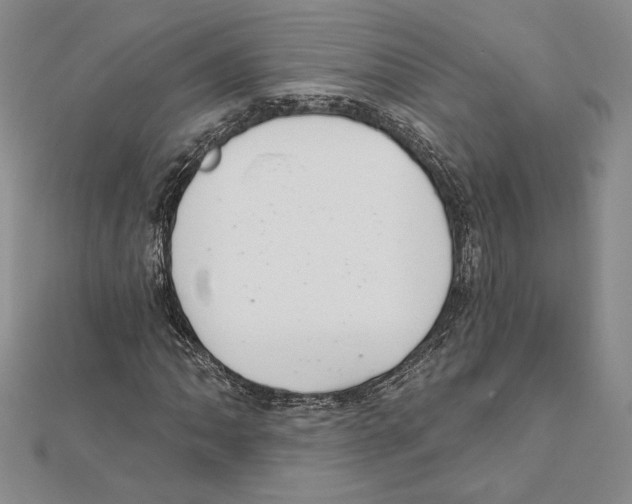 X0000112021062200908311150