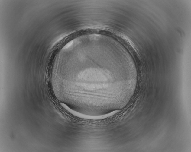 X0000112021064200908311150