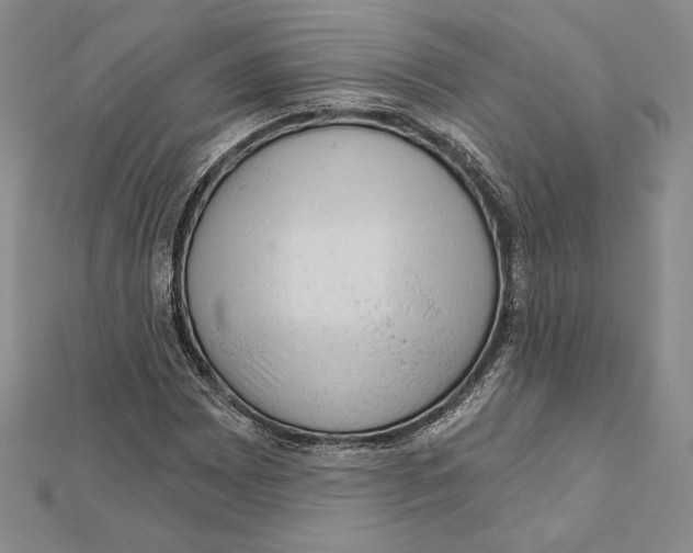 X0000112021065200908311150