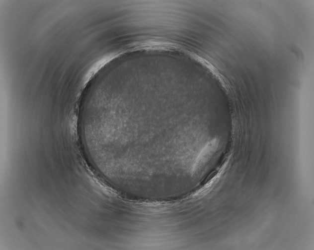 X0000112021066200908311150