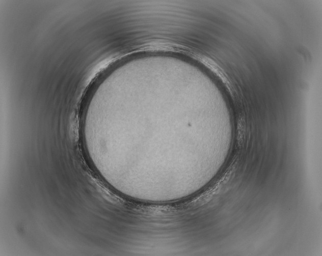 X0000112021067200908311150