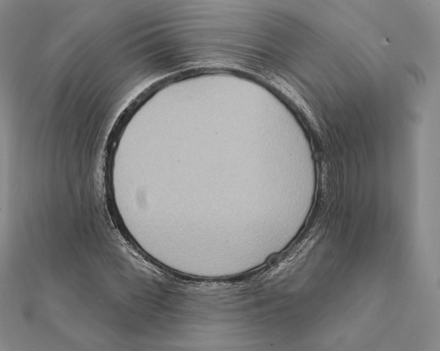 X0000112021068200908311150