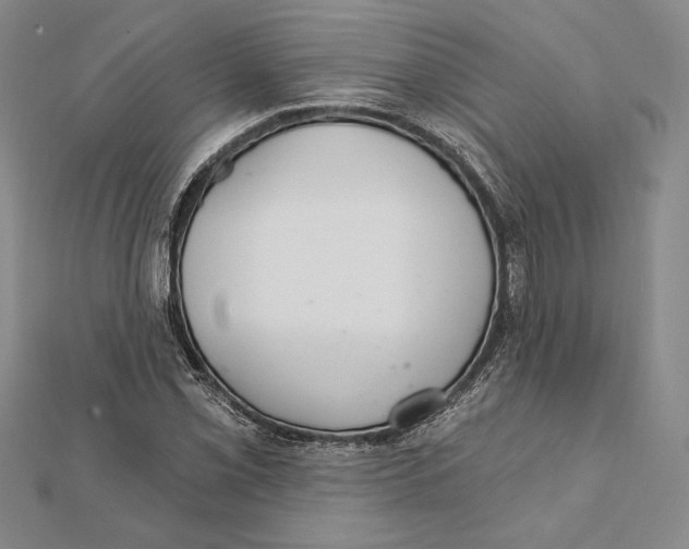 X0000112021069200908311150