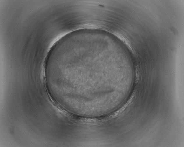 X0000112021070200908311150