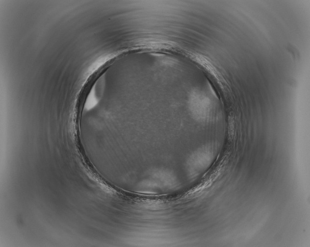 X0000112021071200908311150