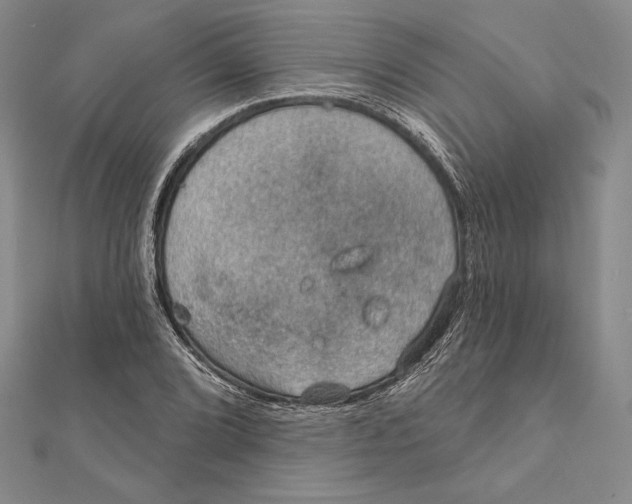 X0000112021072200908311150