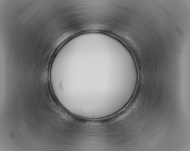 X0000112021073200908311150