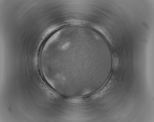 X0000112021074200908311150