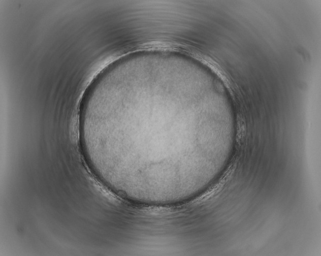 X0000112021075200908311150