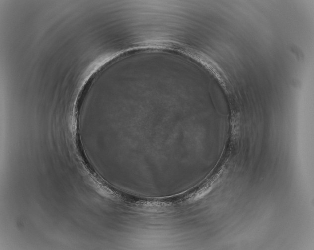 X0000112021077200908311150