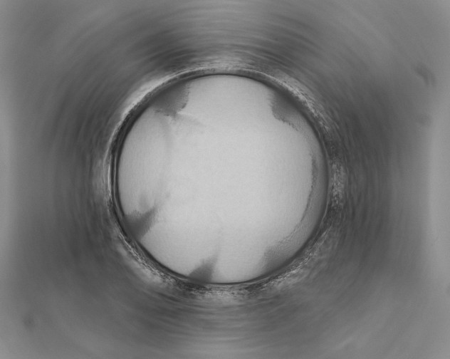 X0000112021078200908311150