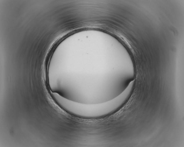 X0000112021080200908311150