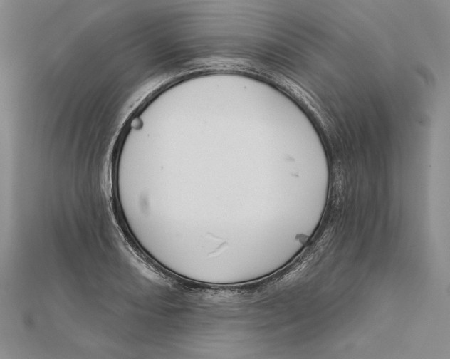 X0000112021082200908311150