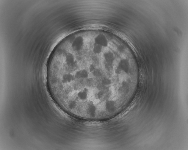 X0000112021083200908311150