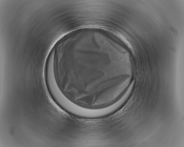 X0000112021084200908311150