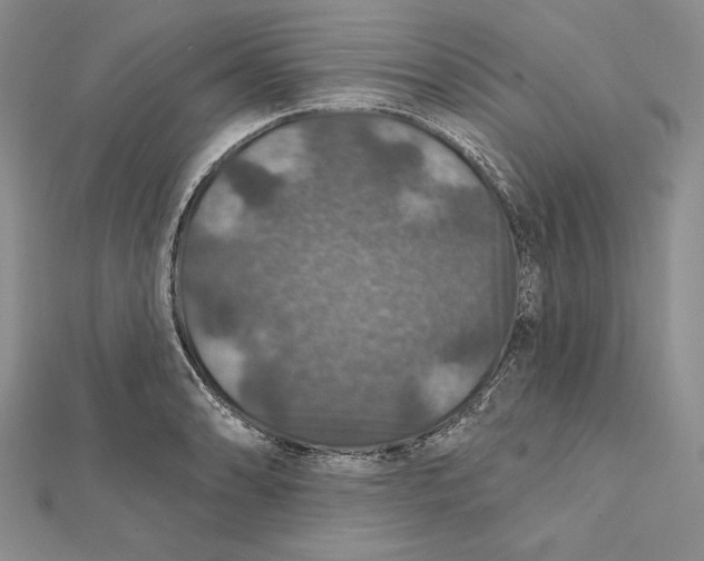 X0000112021086200908311149