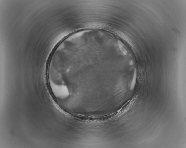 X0000112021087200908311149