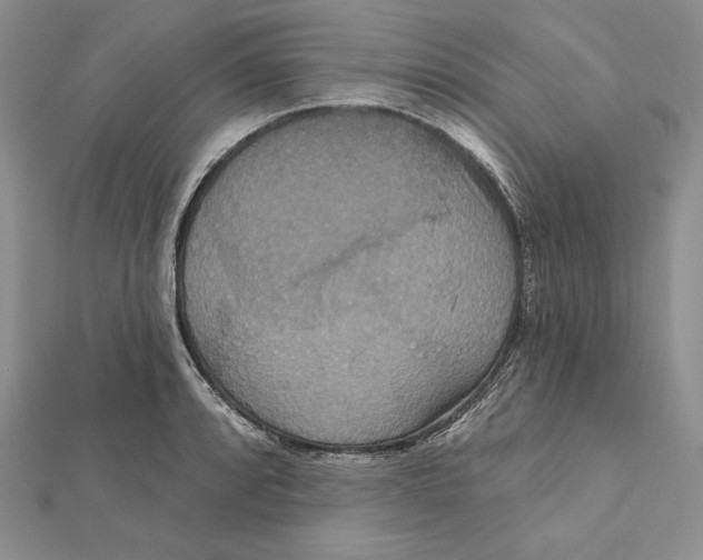 X0000112021088200908311149