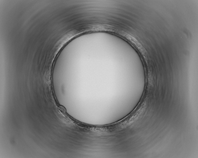 X0000112021089200908311149