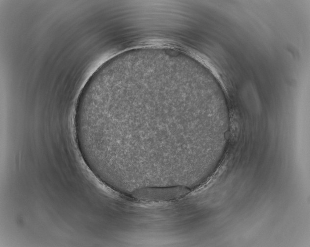 X0000112021091200908311149