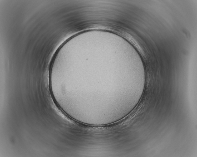 X0000112021092200908311149