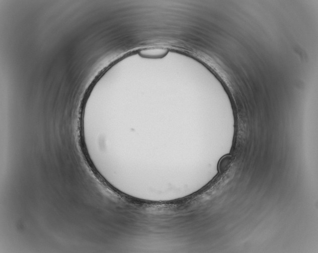 X0000112021093200908311149