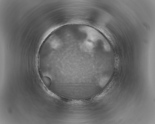 X0000112021094200908311149