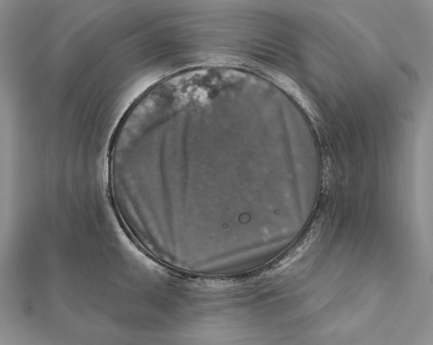 X0000112021095200908311149