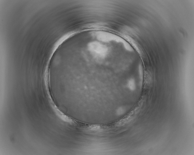 X0000112021098200908311149