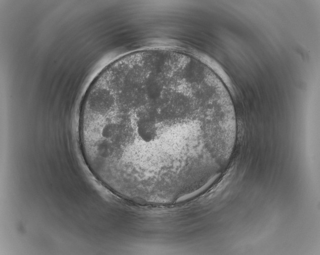 X0000112021099200908311149