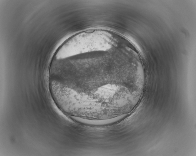 X0000112021100200908311149