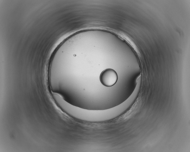 X0000112021101200908311149