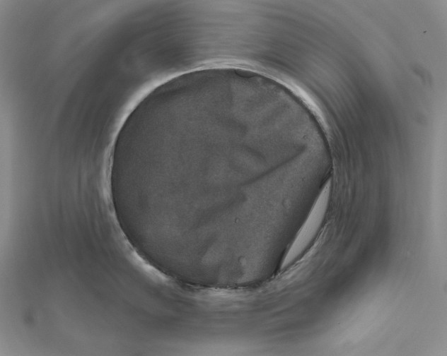 X0000112021102200908311149