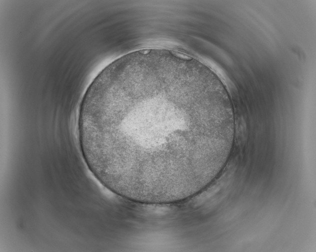 X0000112021103200908311149