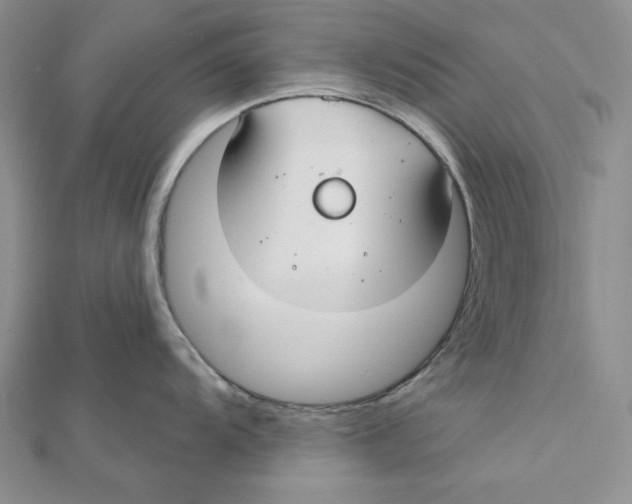 X0000112021104200908311149