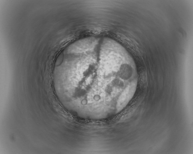 X0000112021105200908311149