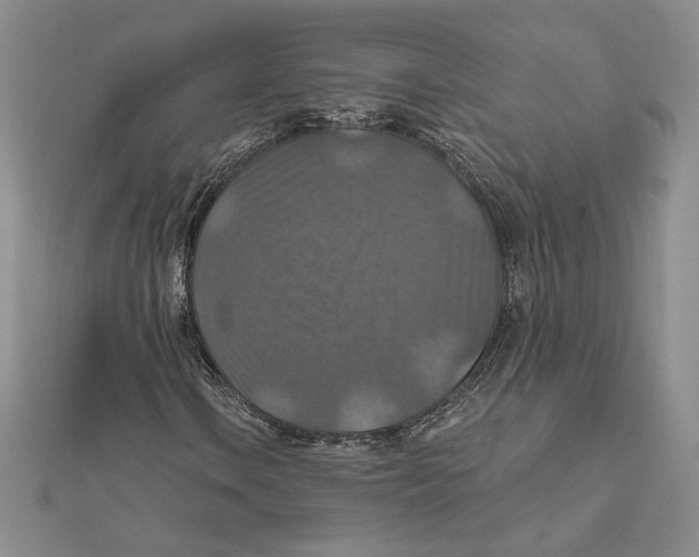 X0000112021106200908311149