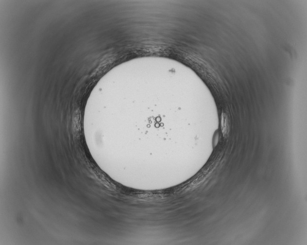 X0000112021107200908311149