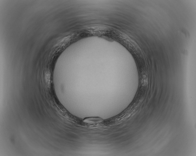 X0000112021108200908311149