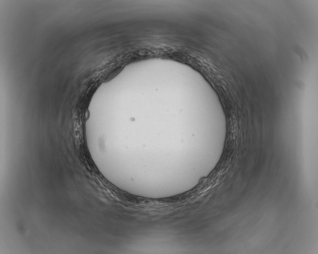 X0000112021109200908311149