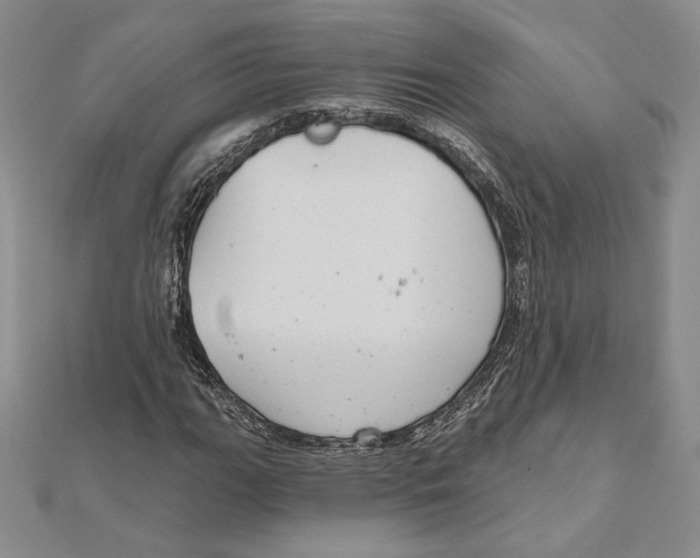 X0000112021111200908311149