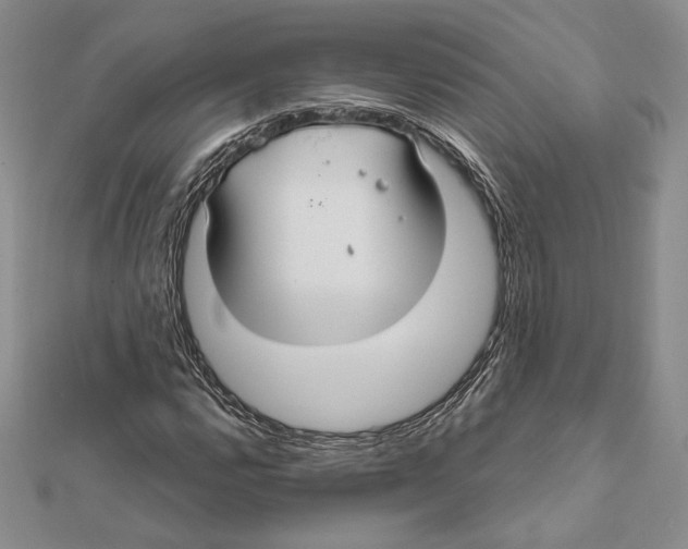 X0000112021112200908311149