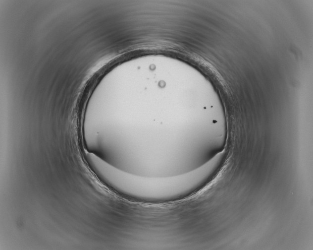 X0000112021114200908311149