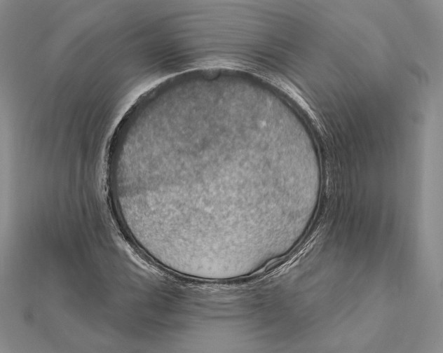 X0000112021116200908311149