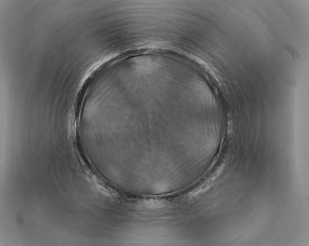 X0000112021117200908311149