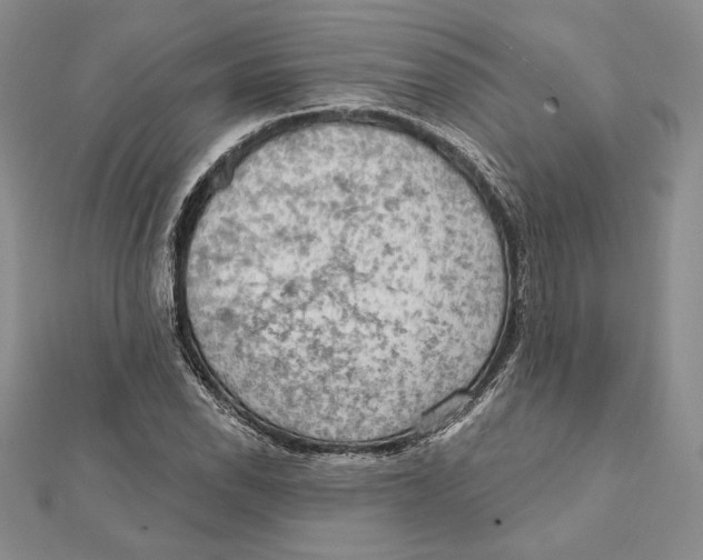 X0000112021118200908311149